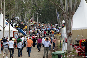 El monográfico forestal Galiforest cierra su primera edición con una afluencia de 5.200 visitantes y un volumen de negocio estimado de 7 millones de euros